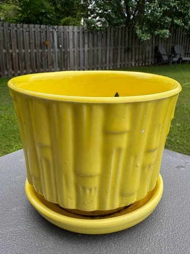 Vintage McCoy 0373 Yellow Bamboo Planter Flower Pot Attached Saucer 4.75” x 5.5”