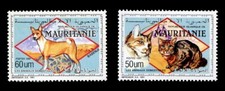 BASENJI CONGO Dog & Cat Postage Stamp Mini Sheet - Mauritania - 1991 - "Mint"
