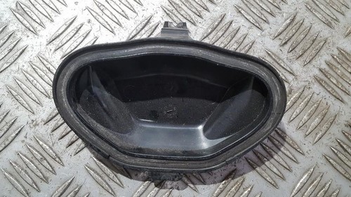 15619200 Abdeckung (scheinwerfer Glühlampe Staub Kunststoffdecke DE561784-53