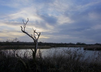 Foto 6x4 Far Ings Naturschutzgebiet, bei Barton-upon-Humber Barton-Upon-Hu c2018