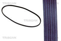Triscan Keilriemen U.A. FüR Alfa Romeo, Audi, Bmw, Daihatsu, Fiat, Lada