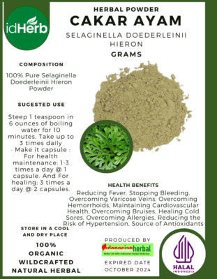 [idHerb] POWDER CAKAR AYAM Selaginella Doederleinii Hiero NATURAL HERBAL ORGANIK