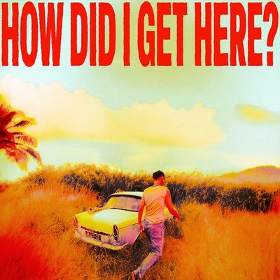 Louis Tomlinson - How Did I Get Here? (Colour LP) [VINYL] Sent Sameday*