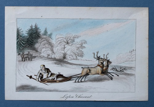 Lapland Lapon Chassant Rentier Reindeer Schlitten Sledge Lappländer Lappland - Bild 2 von 3