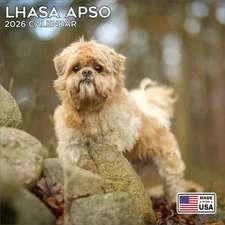 Lhasa Apso Calendar 2026 - Dog Breed Wall Calendar - Made in the USA!