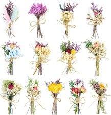 Dried Flower Bouquet Set Mini Natural Flowers 13 Pcs For Crafts DIY Home Decor