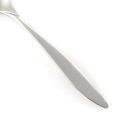 #ad Sears Roebuck FIAMMA Stainless Tradition USA Glossy Silverware CHOICE Flatware $9.89