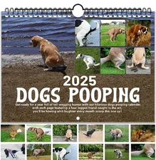 Dog Pooping Calendar 2025 Wall Calendar 2025 Pooping Dog Pooches Calendar 2025