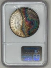 1887 Morgan dollar NGC MS65  striking rainbow toned reverse