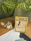 Imposter Professor Oak 73/102 Base Set Pokemon Trainer Card ✨