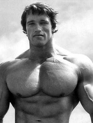 Arnold Schwarzenegger  actor, politician and former bodybuilder 8.5x11
