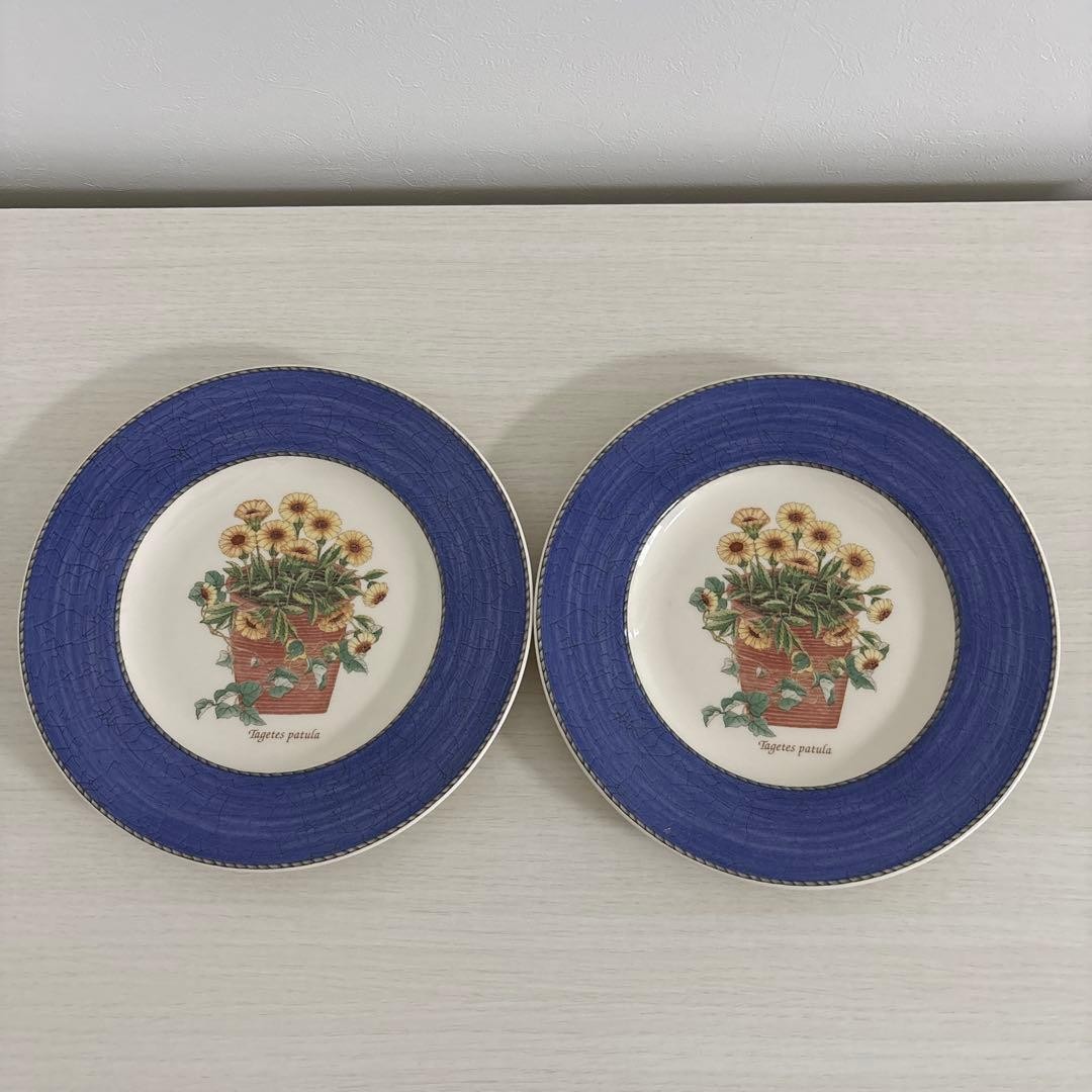 Wedgwood Sarah's Garden 21cm Plate Set of 2 Blue Bone China