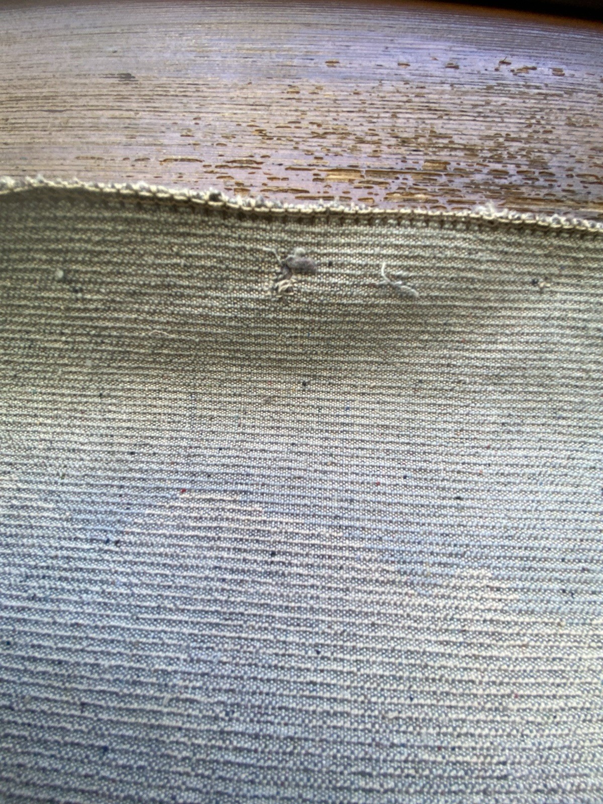 Picture 8 of 24