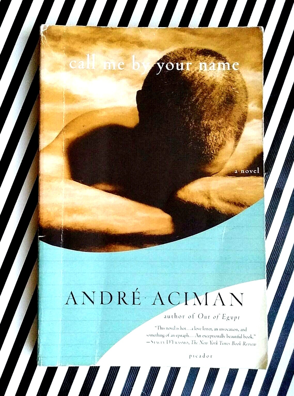 Call Me By Your Name A Novel By Andre Aciman And Andre Aciman 08 Trade Paperback For Sale Online Ebay