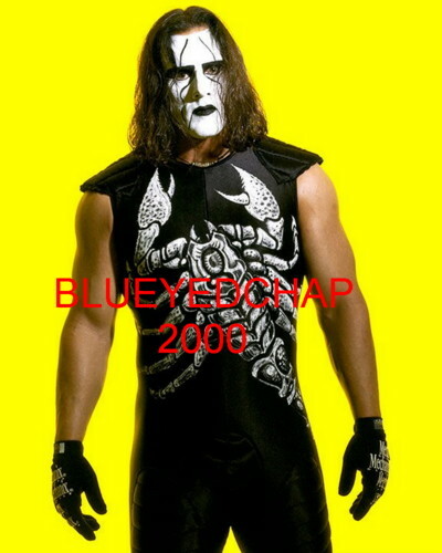 STING WRESTLER 8 X 10 WRESTLING PHOTO WCW WWF | eBay