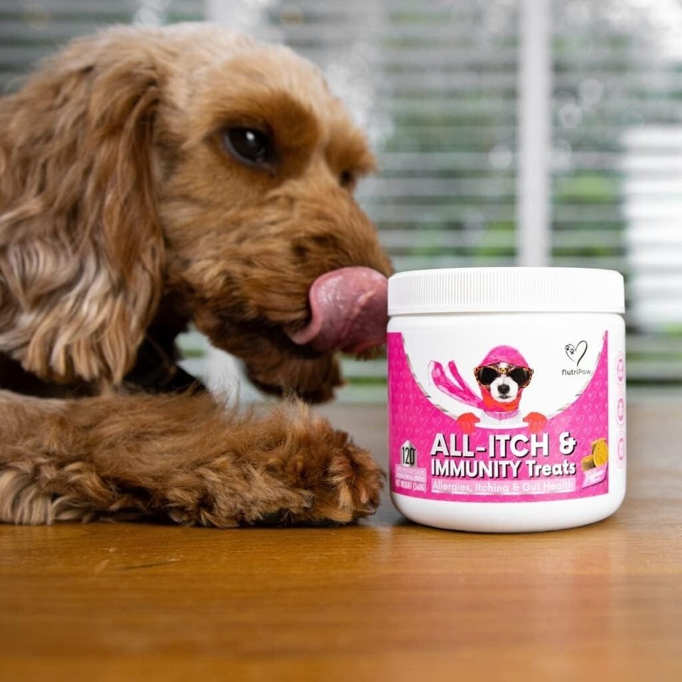 NutriPaw Vegan AllItch Treats For Dogs Soothe Itchy Paws, Eyes, Ears