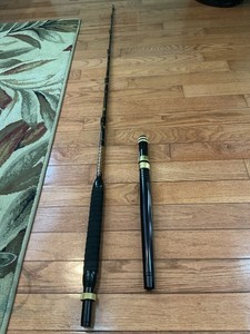 Penn International Rod | eBay