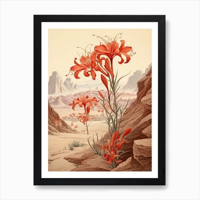 Chinesische Spinne Lilie Blume Victori gerahmtes Wandbild Poster Leinwanddruck Bild