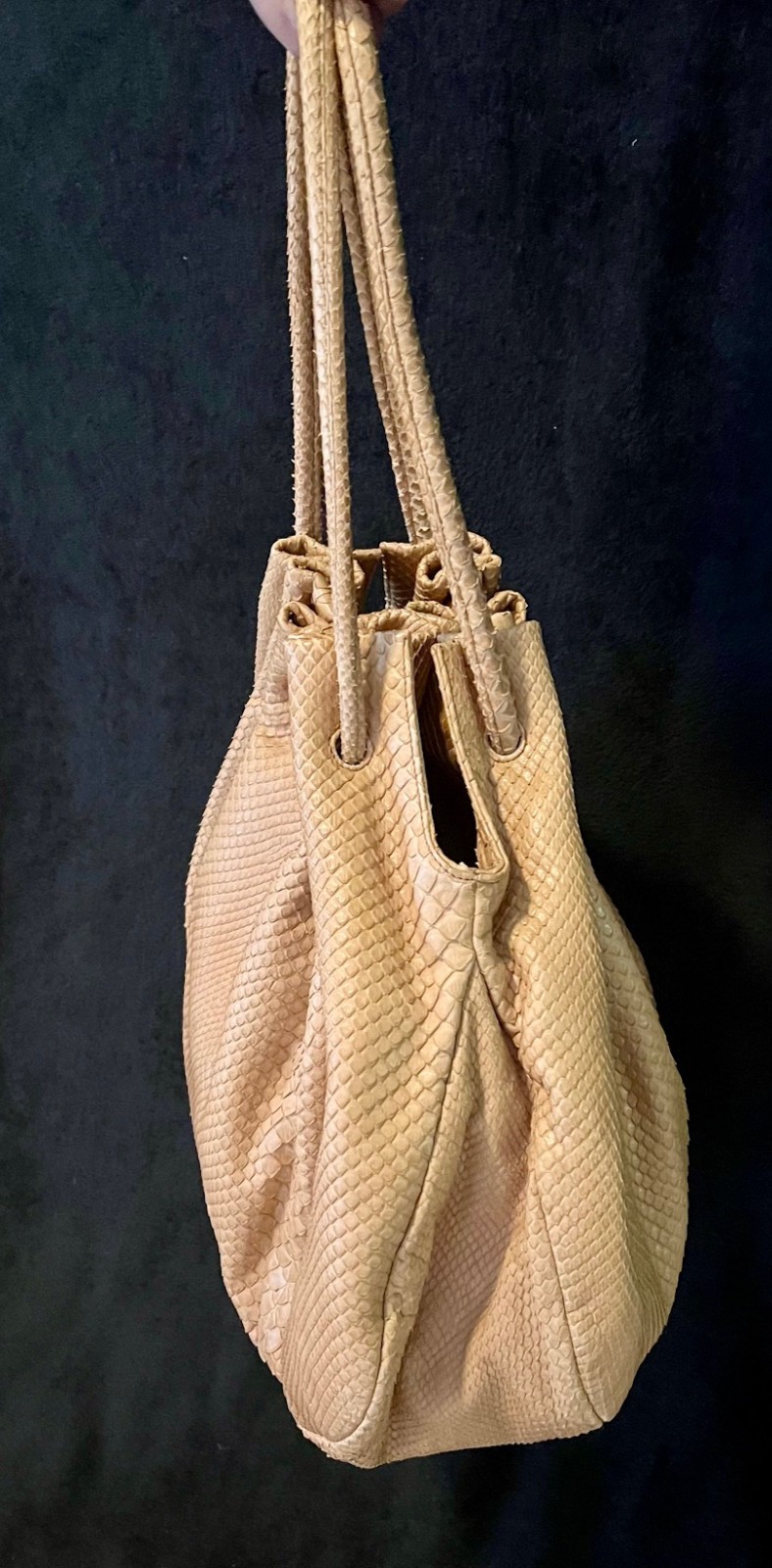 Bottega Veneta Pitone Snakeskin Python Vintage Ho… - image 3