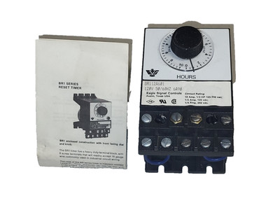 GW EAGLE SIGNAL BR112A601 TIMER 120V 50/60HZ 10A 125-250VAC 1/3HP 1/4A 250VDC