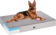 Orthopedic Memory Foam Dog Bed, 7 Inch Thick Extra Large XXL Dog Bed for Senior