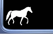Natural Walking Horse Sticker OS 497 vinyl 6" Decal shoe bridle tennessee walker