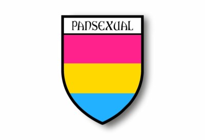 Sticker Arc-en-Ciel Pour Voiture Ou Moto - Drapeau Rainbow Style Blason Ville