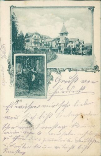 Ansichtskarte Kurhaus Hundseck 1901  (Nr.932)