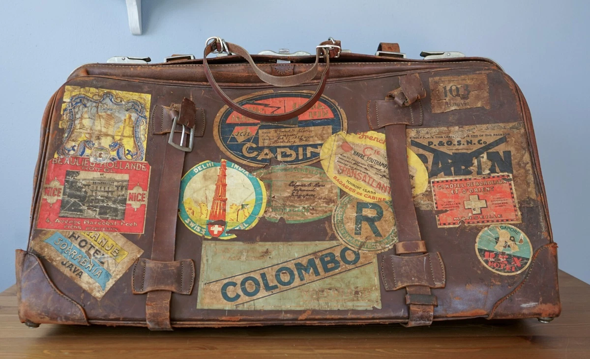 La Vera Storia Di Balto, Il Cane Da Slitta Che Salvò Una Città - Foto 12