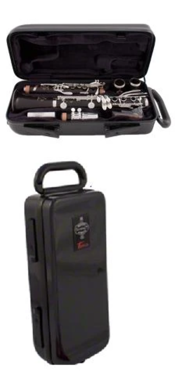 Buffet Bb Clarinet Single Carbon Fiber Tosca Case - BCA821T | eBay