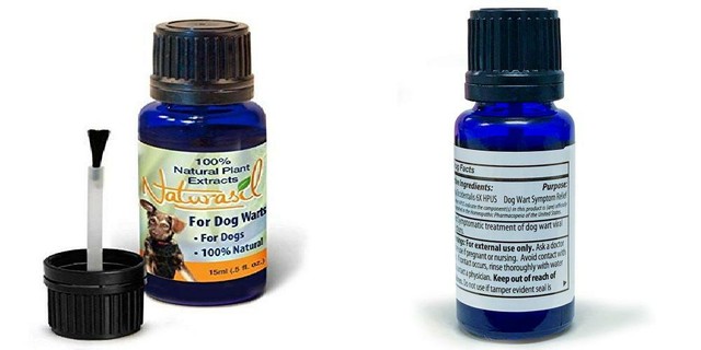 dog wart medication