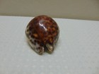 Picture 3 of 6