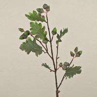 Artplants Kunst Eichen Zweig Laminke Mit Eicheln, GrüN, 70Cm