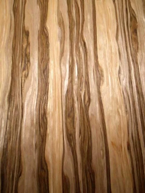 Chapa de nogal satinado ámbar SaRaiFo Red Gum 250x63 cm