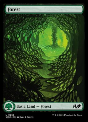 MtG Magic The Gathering Wilds Of Eldraine Full Art Basic Land Cards x1 | eBay MtG Magic The Gathering Wilds Of Eldraine Full Art Basic Land Cards x1 | eBay