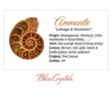 AMMONITE Crystal Information Card, Double sided #HC48