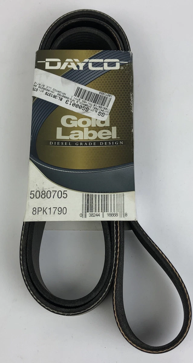 Serpentine Belt-DIESEL Grade Design Dayco Gold Label 5080705  