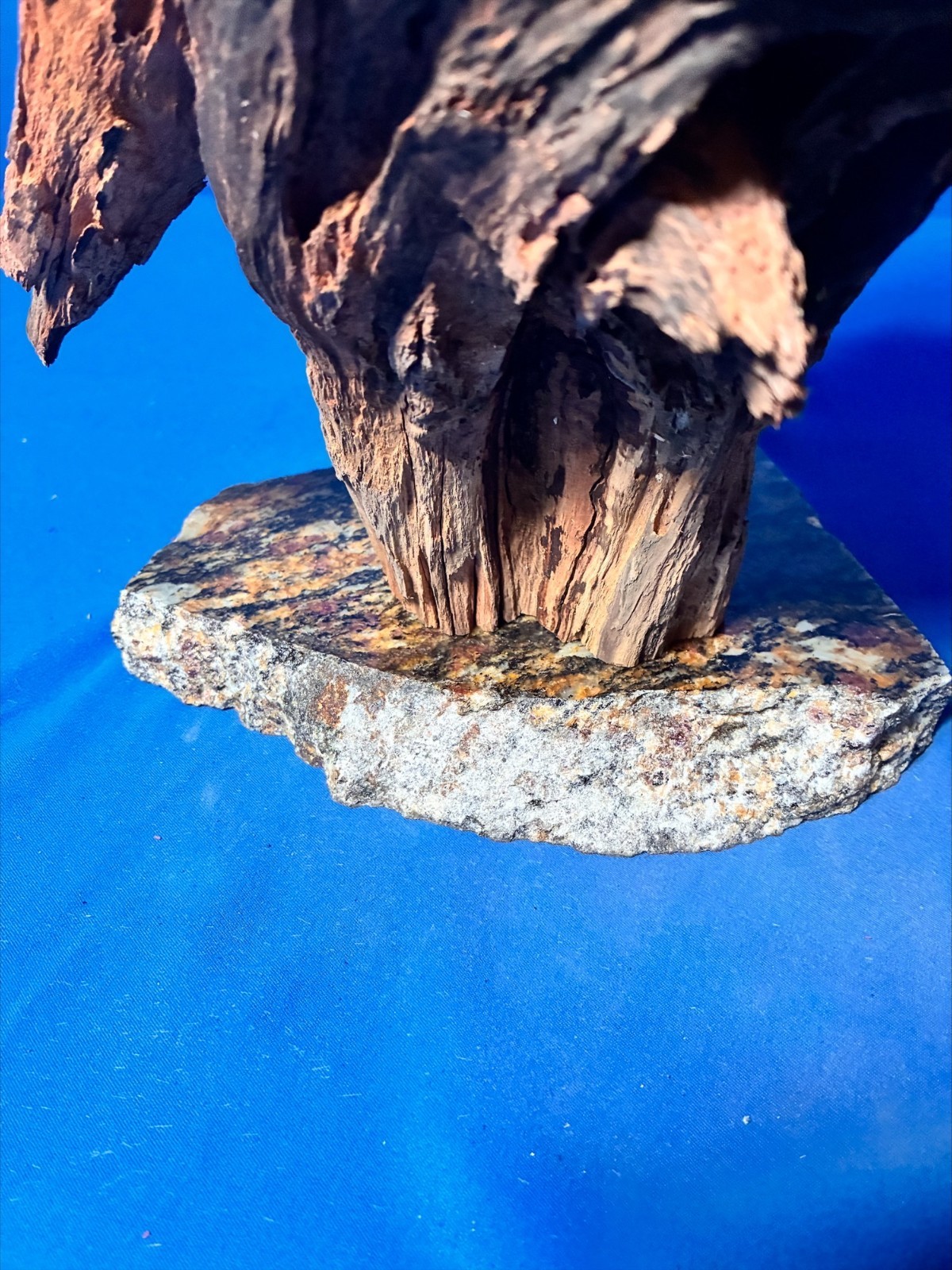 Aquarium Fish Tank Terrarium Aquascape  Manzanita Root Granite Base