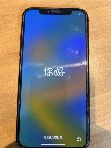 iPhone X