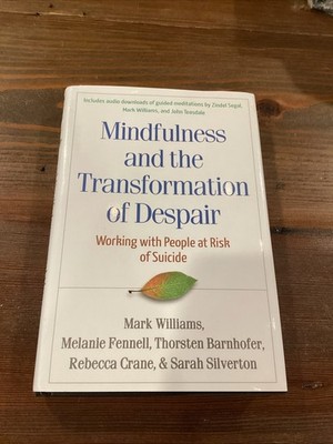 Mindfulness And The Transformation Of Despair Working With People Risk Suicide