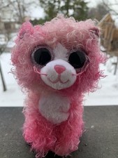 Katz&lsquo; im Sack