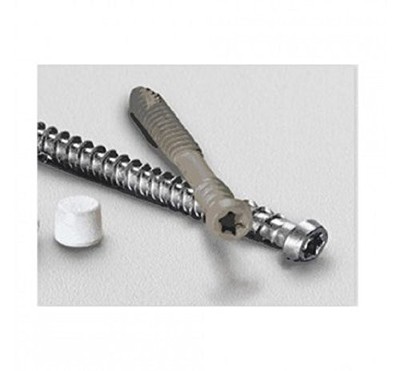 Starborn Pro Plug No. 10 x 2 in. L Star Trim Head Epoxy Coated Carbon Steel Dec