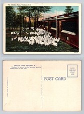 Vineland, NJ-New Jersey, Chicken Farm Large Flock Poultry Sheds Vintage Postcard