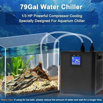Fish Tank Setup With Chiller: Ultimate Guide for Perfect Cooling