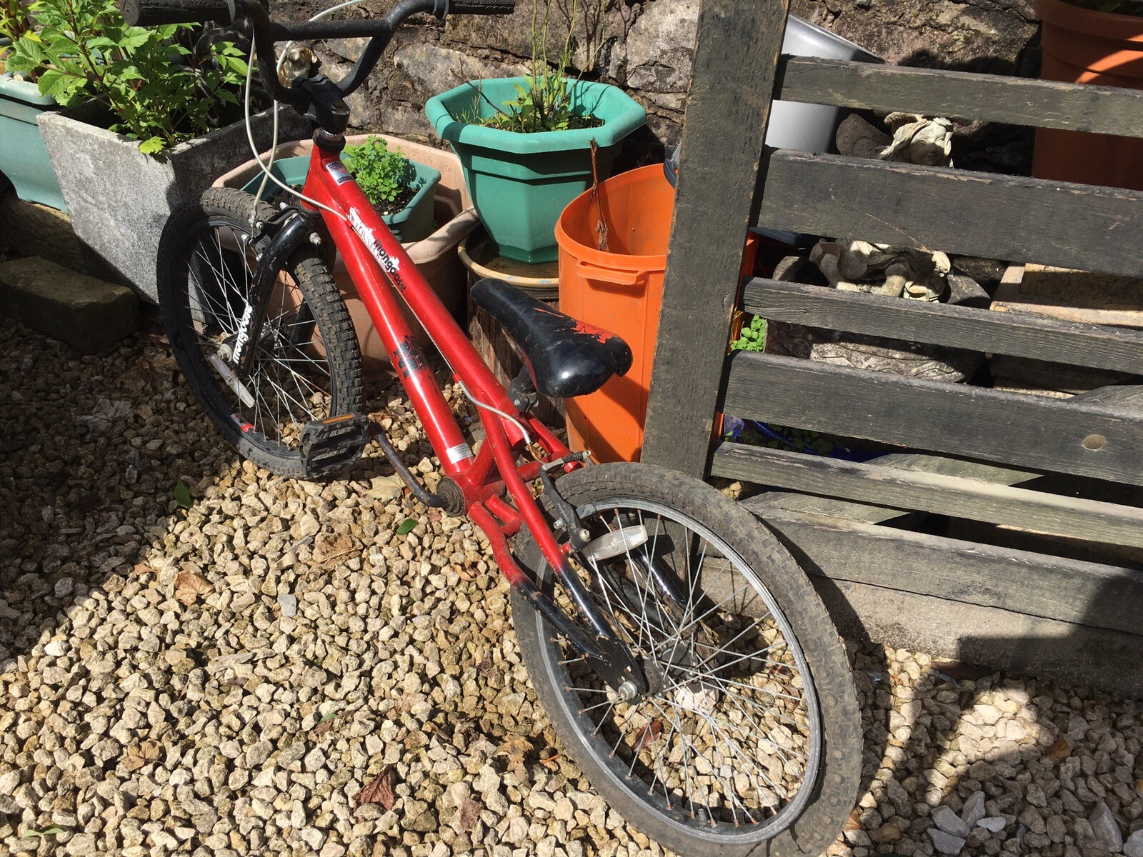 mongoose motivator mini