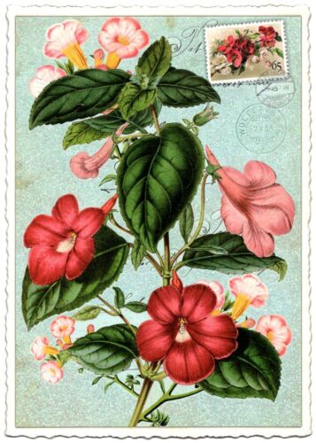Edition Tausendschön | Postkarte A6 | Flora & Fauna | Motiv wählbar - Bild 40 von 78