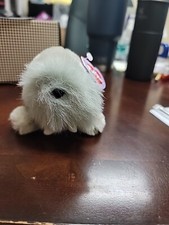 Puffkins Whiskers . New