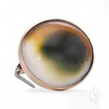 SYMBOL OF PROTECTION Victorian 9K Rose Gold Set Operculum Shell Evil Eye Brooch