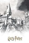 Trendsposters Harry Potter Illustrated Hogwarts Poster - 22.375" x 34" 18527 New