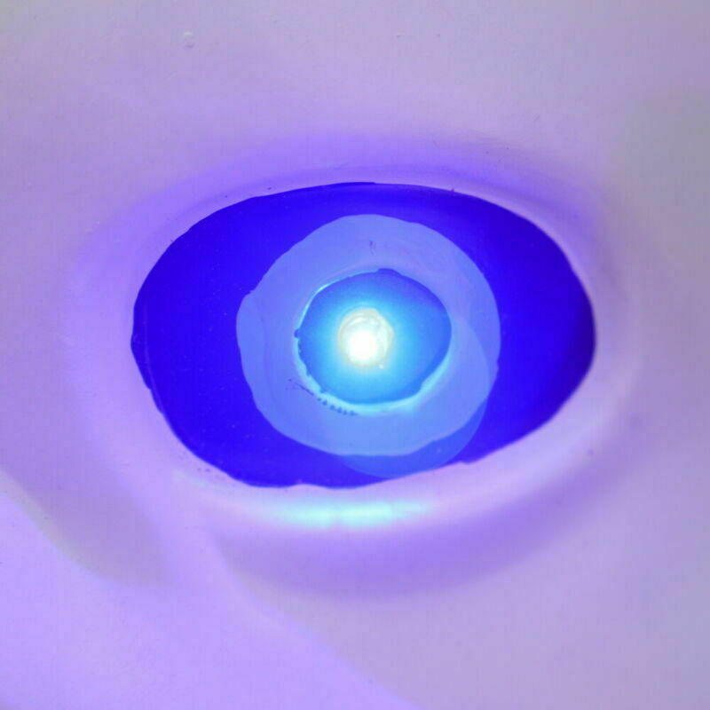Picture 5 of 12